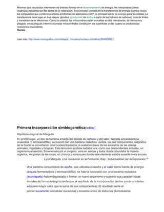 Mientras que los plastos intervienen de distintas formas en el almacenamiento de energía, las mitocondrias (otros 
orgánulos celulares) son las sedes de la respiración. Este proceso consiste en la transferencia de energía química desde 
los compuestos que contienen carbono al trifosfato de adenosina o ATP, la principal fuente de energía para las células. La 
transferencia tiene lugar en tres etapas: glicolisis (producción de ácidos a partir de los hidratos de carbono), ciclo de Krebs 
y transferencia de electrones. Como los plastos, las mitocondrias están envueltas en dos membranas, la interna muy 
plegada; estos pliegues internos o crestas mitocondriales constituyen las superficies en las cuales se producen las 
reacciones respiratorias 
Núcleo 
Leer más: http://www.monografias.com/trabajos11/nucleoy/nucleoy.shtml#ixzz3DX9OJ951 
Primera incorporación simbiogenética[editar] 
Hipótesis original de Margulis: 
En primer lugar, un tipo de bacteria amante del dióxido de carbono y del calor, llamada arqueobacteria 
anaerobia (o termoacidófila), se fusionó con una bacteria nadadora. Juntos, los dos componentes integrados 
de la fusión se convirtieron en el nucleocitoplasma, la sustancia base de los ancestros de las células 
animales, vegetales y fúngicas. Este temprano protista nadador era, como sus descendientes actuales, un 
organismo anaerobio. Envenenado por el oxígeno, vivía en arenas y lodos donde abundaba la materia 
orgánica, en grietas de las rocas, en charcos y estanques donde este elemento estaba ausente o era escaso. 
Lynn Margulis, Una revolución en la Evolución, Cap.: Individualidad por incorporación.15 
Una bacteria consumidora de azufre, que utilizaba el azufre y el calor como fuente de energía 
(arquea fermentadora o termoacidófila), se habría fusionado con una bacteria nadadora 
(espiroqueta) habiendo pasado a formar un nuevo organismo y sumaría sus características 
iniciales de forma sinérgica (en la que el resultado de la incorporación de dos o más unidades 
adquiere mayor valor que la suma de sus componentes). El resultado sería el 
primer eucarionte (unicelular eucariota) y ancestro único de todos los pluricelulares. 
 