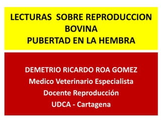 LECTURAS SOBRE REPRODUCCION
           BOVINA
    PUBERTAD EN LA HEMBRA

  DEMETRIO RICARDO ROA GOMEZ
   Medico Veterinario Especialista
      Docente Reproducción
        UDCA - Cartagena
 