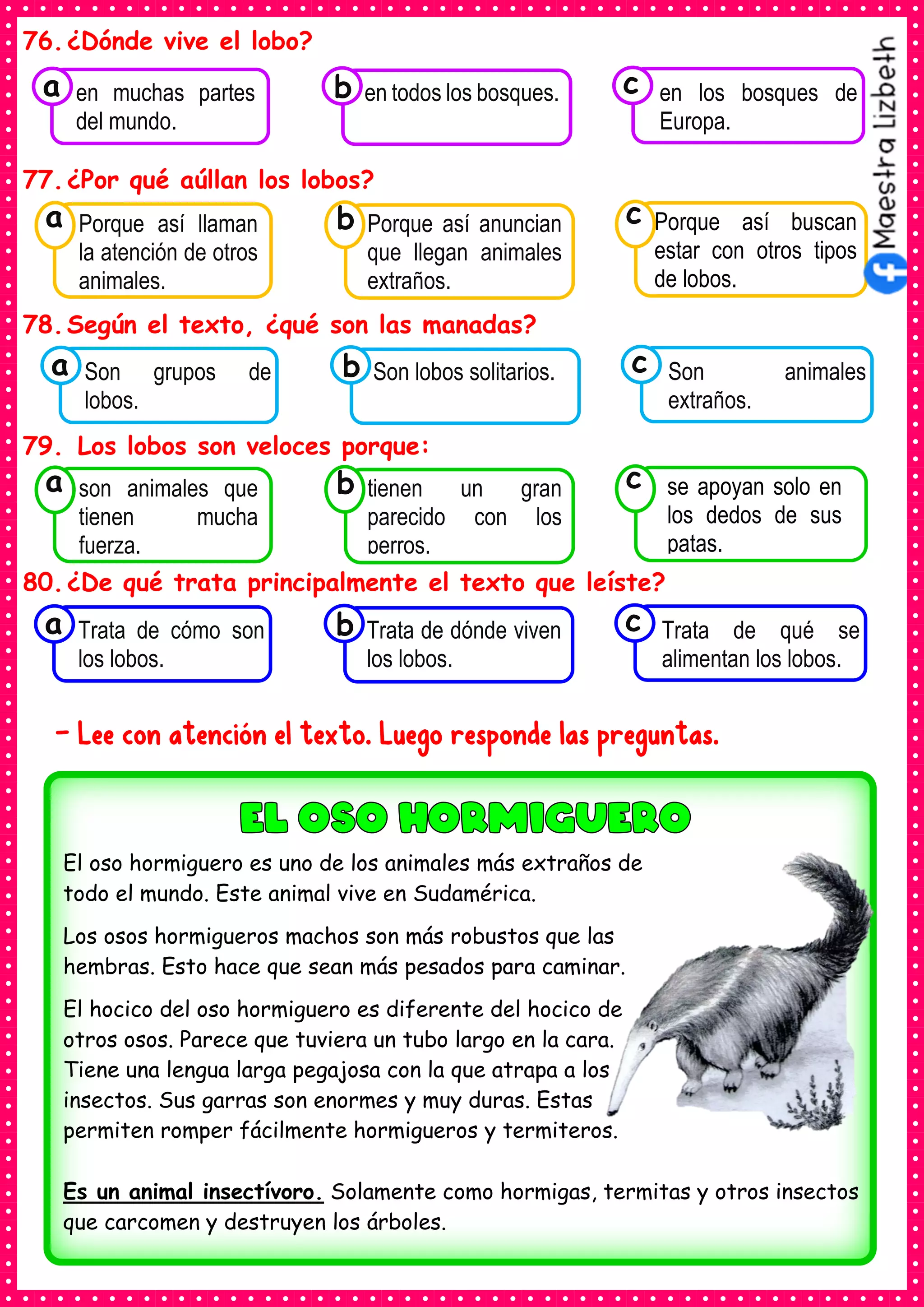 76.¿Dónde vive el lobo?
77.¿Por qué aúllan los lobos?
78.Según el texto, ¿qué son las manadas?
79. Los lobos son veloces porque:
80.¿De qué trata principalmente el texto que leíste?
- Lee con atención el texto. Luego responde las preguntas.
Consumían los
Son grupos de
lobos.
a Consumían los
Son lobos solitarios. Consumían los
Son animales
extraños.
c
b
Consumían los
en muchas partes
del mundo.
a Consumían los
en todos los bosques. Consumían los
en los bosques de
Europa.
c
b
Consumían los
Porque así llaman
la atención de otros
animales.
a
Consumían los
Porque así anuncian
que llegan animales
extraños.
Consumían los
Porque así buscan
estar con otros tipos
de lobos.
c
b
Consumían los
son animales que
tienen mucha
fuerza.
a
Consumían los
tienen un gran
parecido con los
perros.
Consumían los
se apoyan solo en
los dedos de sus
patas.
c
b
Consumían los
Trata de cómo son
los lobos.
a Consumían los
Trata de dónde viven
los lobos.
Consumían los
Trata de qué se
alimentan los lobos.
c
b
El oso hormiguero es uno de los animales más extraños de
todo el mundo. Este animal vive en Sudamérica.
Los osos hormigueros machos son más robustos que las
hembras. Esto hace que sean más pesados para caminar.
El hocico del oso hormiguero es diferente del hocico de
otros osos. Parece que tuviera un tubo largo en la cara.
Tiene una lengua larga pegajosa con la que atrapa a los
insectos. Sus garras son enormes y muy duras. Estas
permiten romper fácilmente hormigueros y termiteros.
Es un animal insectívoro. Solamente como hormigas, termitas y otros insectos
que carcomen y destruyen los árboles.
 