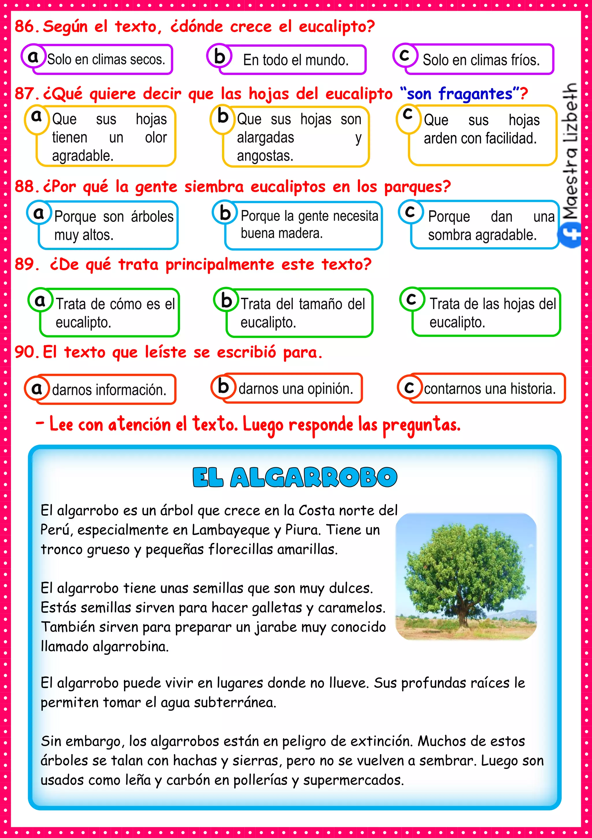 86.Según el texto, ¿dónde crece el eucalipto?
87.¿Qué quiere decir que las hojas del eucalipto “son fragantes”?
88.¿Por qué la gente siembra eucaliptos en los parques?
89. ¿De qué trata principalmente este texto?
90.El texto que leíste se escribió para.
- Lee con atención el texto. Luego responde las preguntas.
Consumían los
Porque son árboles
muy altos.
a Consumían los
Porque la gente necesita
buena madera.
Consumían los
Porque dan una
sombra agradable.
c
b
Consumían los
Solo en climas secos.
a Consumían los
En todo el mundo. Consumían los
Solo en climas fríos.
c
b
Consumían los
Que sus hojas
tienen un olor
agradable.
a
Consumían los
Que sus hojas son
alargadas y
angostas.
Consumían los
Que sus hojas
arden con facilidad.
c
b
Consumían los
Trata de cómo es el
eucalipto.
a Consumían los
Trata del tamaño del
eucalipto.
Consumían los
Trata de las hojas del
eucalipto.
c
b
Consumían los
darnos información.
a Consumían los
darnos una opinión.
b Consumían los
contarnos una historia.
c
El algarrobo es un árbol que crece en la Costa norte del
Perú, especialmente en Lambayeque y Piura. Tiene un
tronco grueso y pequeñas florecillas amarillas.
El algarrobo tiene unas semillas que son muy dulces.
Estás semillas sirven para hacer galletas y caramelos.
También sirven para preparar un jarabe muy conocido
llamado algarrobina.
El algarrobo puede vivir en lugares donde no llueve. Sus profundas raíces le
permiten tomar el agua subterránea.
Sin embargo, los algarrobos están en peligro de extinción. Muchos de estos
árboles se talan con hachas y sierras, pero no se vuelven a sembrar. Luego son
usados como leña y carbón en pollerías y supermercados.
 