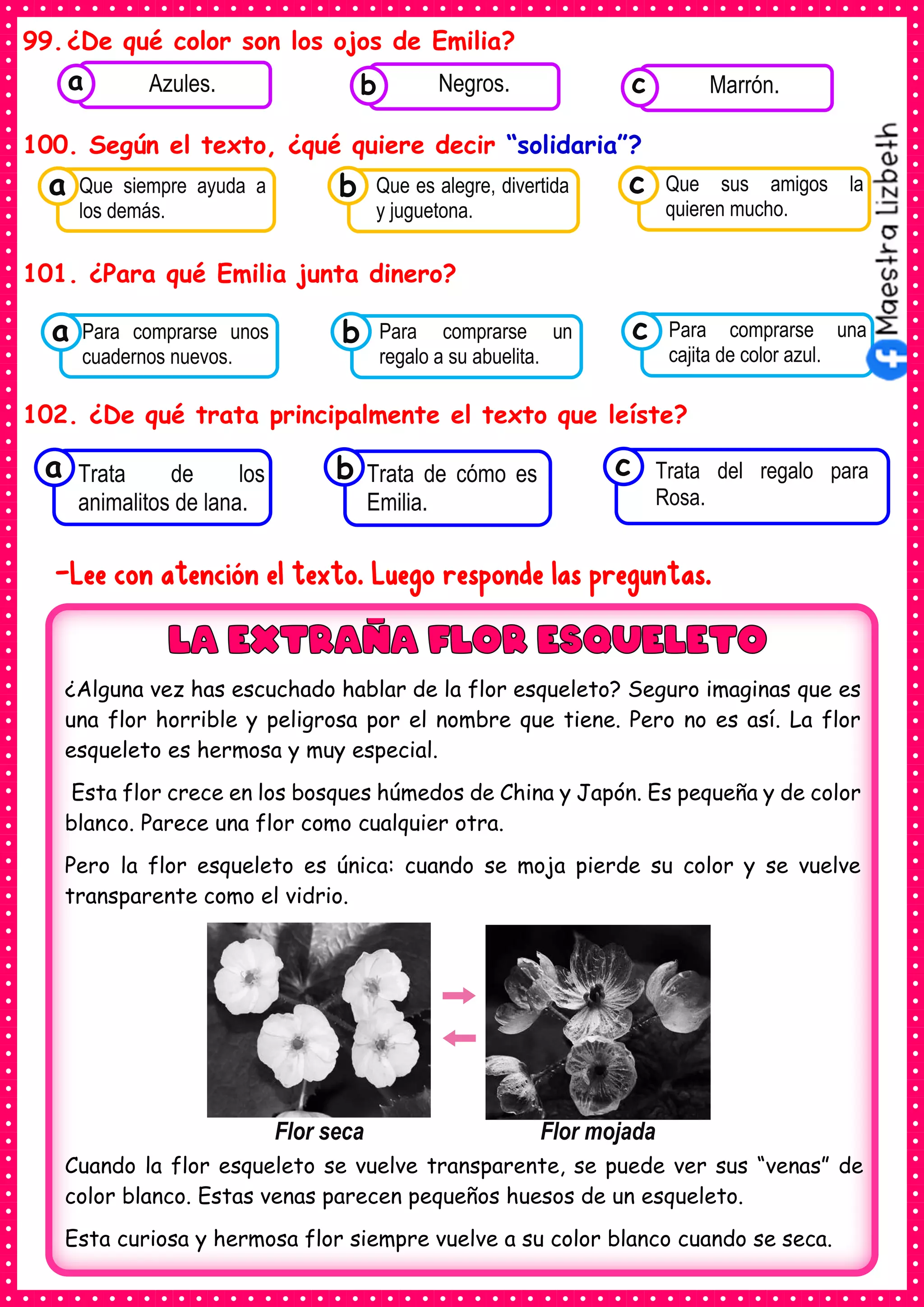 99.¿De qué color son los ojos de Emilia?
100. Según el texto, ¿qué quiere decir “solidaria”?
101. ¿Para qué Emilia junta dinero?
102. ¿De qué trata principalmente el texto que leíste?
-Lee con atención el texto. Luego responde las preguntas.
Consumían los
Que siempre ayuda a
los demás.
a Consumían los
Que es alegre, divertida
y juguetona.
Consumían los
Que sus amigos la
quieren mucho.
c
b
Consumían los
Trata de los
animalitos de lana.
a Consumían los
Trata de cómo es
Emilia.
Consumían los
Trata del regalo para
Rosa.
c
b
Consumían los
alimentos enlatados .
Azules. Consumían los
alimentos enlatados .
Negros. Consumían los
alimentos enlatados .
Marrón.
c
b
a
Consumían los
Para comprarse unos
cuadernos nuevos.
a Consumían los
Para comprarse un
regalo a su abuelita.
Consumían los
Para comprarse una
cajita de color azul.
c
b
¿Alguna vez has escuchado hablar de la flor esqueleto? Seguro imaginas que es
una flor horrible y peligrosa por el nombre que tiene. Pero no es así. La flor
esqueleto es hermosa y muy especial.
Esta flor crece en los bosques húmedos de China y Japón. Es pequeña y de color
blanco. Parece una flor como cualquier otra.
Pero la flor esqueleto es única: cuando se moja pierde su color y se vuelve
transparente como el vidrio.
Cuando la flor esqueleto se vuelve transparente, se puede ver sus “venas” de
color blanco. Estas venas parecen pequeños huesos de un esqueleto.
Esta curiosa y hermosa flor siempre vuelve a su color blanco cuando se seca.
Flor seca Flor mojada
 