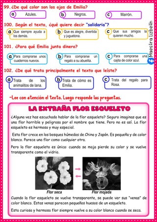 99.¿De qué color son los ojos de Emilia?
100. Según el texto, ¿qué quiere decir “solidaria”?
101. ¿Para qué Emilia junta dinero?
102. ¿De qué trata principalmente el texto que leíste?
-Lee con atención el texto. Luego responde las preguntas.
Consumían los
Que siempre ayuda a
los demás.
a Consumían los
Que es alegre, divertida
y juguetona.
Consumían los
Que sus amigos la
quieren mucho.
c
b
Consumían los
Trata de los
animalitos de lana.
a Consumían los
Trata de cómo es
Emilia.
Consumían los
Trata del regalo para
Rosa.
c
b
Consumían los
alimentos enlatados .
Azules. Consumían los
alimentos enlatados .
Negros. Consumían los
alimentos enlatados .
Marrón.
c
b
a
Consumían los
Para comprarse unos
cuadernos nuevos.
a Consumían los
Para comprarse un
regalo a su abuelita.
Consumían los
Para comprarse una
cajita de color azul.
c
b
¿Alguna vez has escuchado hablar de la flor esqueleto? Seguro imaginas que es
una flor horrible y peligrosa por el nombre que tiene. Pero no es así. La flor
esqueleto es hermosa y muy especial.
Esta flor crece en los bosques húmedos de China y Japón. Es pequeña y de color
blanco. Parece una flor como cualquier otra.
Pero la flor esqueleto es única: cuando se moja pierde su color y se vuelve
transparente como el vidrio.
Cuando la flor esqueleto se vuelve transparente, se puede ver sus “venas” de
color blanco. Estas venas parecen pequeños huesos de un esqueleto.
Esta curiosa y hermosa flor siempre vuelve a su color blanco cuando se seca.
Flor seca Flor mojada
 