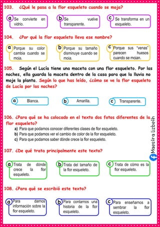 103. ¿Qué le pasa a la flor esqueleto cuando se moja?
104. ¿Por qué la flor esqueleto lleva ese nombre?
105. Según el Lucía tiene una maceta con una flor esqueleto. Por las
noches, ella guarda la maceta dentro de la casa para que la lluvia no
moje la planta. Según lo que has leído, ¿cómo se ve la flor esqueleto
de Lucía por las noches?
106. ¿Para qué se ha colocado en el texto dos fotos diferentes de la
flor esqueleto?
a) Para que podamos conocer diferentes clases de flor esqueleto.
b) Para que podamos ver el cambio de color de la flor esqueleto.
c) Para que podamos saber dónde crece la flor esqueleto.
107. ¿De qué trata principalmente este texto?
108. ¿Para qué se escribió este texto?
Consumían los
Se convierte en
vidrio.
a Consumían los
Se vuelve
transparente.
Consumían los
Se transforma en un
esqueleto.
c
b
Consumían los
Porque su color
cambia cuando se
moja.
a
Consumían los
Porque su tamaño
disminuye cuando se
moja.
Consumían los
Porque sus “venas”
parecen huesos
cuando se mojan.
c
b
Consumían los
Trata de dónde
crece la flor
esqueleto.
a Consumían los
Trata del tamaño de
la flor esqueleto.
Consumían los
Trata de cómo es la
flor esqueleto.
c
b
Consumían los
alimentos enlatados .
Blanca. Consumían los
alimentos enlatados .
Amarilla. Consumían los
alimentos enlatados .
Transparente.
c
b
a
Consumían los
Para darnos
información sobre la
flor esqueleto.
a
Consumían los
Para contarnos una
historia de la flor
esqueleto.
Consumían los
Para enseñarnos a
sembrar la flor
esqueleto.
c
b
 