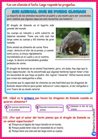 -Lee con atención el texto. Luego responde las preguntas.
109. ¿Qué es lo primero que hacen los dragones de Komodo cuando se
quieren alimentar?
110. ¿Por qué el autor del texto piensa que el dragón de Komodo es
un animal espectacular?
a) Porque es el lagarto de mayor tamaño en el mundo.
b) Porque puede tener crías sin necesidad de un macho.
c) Porque tiene una cola casi tan larga como su cuerpo.
El dragón de Komodo es el lagarto más
grande del mundo.
Su cuerpo es robusto y está cubierto de
ásperas escamas. Tiene una cola casi tan
larga como su cuerpo y 60 dientes de gran
tamaño.
Este animal se alimenta de carne. Para
cazar, detecta el olor de su presa, y cuando
está cerca, la ataca rápidamente
mordiéndola en el cuello o en el vientre.
Luego, la devora arrancándole grandes
pedazos de carne.
El dragón de Komodo es un animal fascinante, pero, sin duda, hay algo que lo
hace espectacular. Se ha encontrado que algunas hembras logran tener crías
sin necesidad de que haya un padre. Así, logran “clonarse”. Estos nuevos seres
que crean son semejantes a ellos.
Se piensa que la capacidad de clonarse es una habilidad que los dragones de
Komodo desarrollaron para poder sobrevivir como especie, al ser obligados a
vivir fuera de su medio natural.
La mayoría de los animales necesitan un padre y una madre para ser concebidos,
pero ¿sabías que algunas especies solo necesitan una hembra?
Consumían los
Se acercan rápidamente
a sus presas.
a Consumían los
Muerden fuertemente a sus
presas.
Consumían los
Detectan el olor de sus
presas.
c
b
 