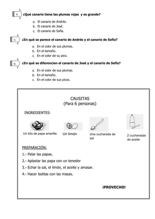 ¿Qué canario tiene las plumas rojas y es grande?
a. El canario de Andrés.
b. El canario de José.
c. El canario de Sofía.
¿En qué se parece el canario de Andrés y el canario de Sofía?
a. En el color de sus plumas.
b. En el tamaño.
c. En el color de su pico.
¿En qué se diferencian el canario de José y el canario de Sofía?
a. En el color de sus plumas.
b. En el tamaño.
c. En el color de sus picos.
CAUSITAS
(Para 6 personas)
INGREDIENTES:
PREPARACIÓN:
1.- Pelar las papas.
2.- Aplastar las papa con un tenedor
3.- Echar la sal, el limón, el aceite y amasar.
4.- Hacer bolitas con las masas.
¡PROVECHO!
Un kilo de papa amarilla
sancochada
Un limón Una cucharada de
sal
2 cucharadas
de aceite
4.
5.
6.
 