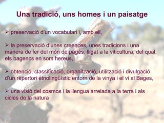 Una tradició, uns homes i un paisatge preservació d’un vocabulari i, amb ell,  la preservació d’unes creences, unes tradicions i una manera de fer del món de pagès, lligat a la viticultura, del qual, els bagencs en som hereus, obtenció, classificació, organització, utilització i divulgació d’un repertori etnolingüístic entorn de la vinya i el vi al Bages,  una visió del cosmos i la llengua arrelada a la terra i als cicles de la natura  