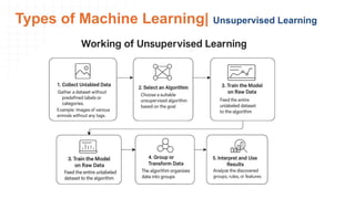 Comprehensive Introduction to Machine Learning: Concepts, Types, and ...