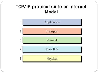 TCP/IP protocol suite or Internet
Model
 