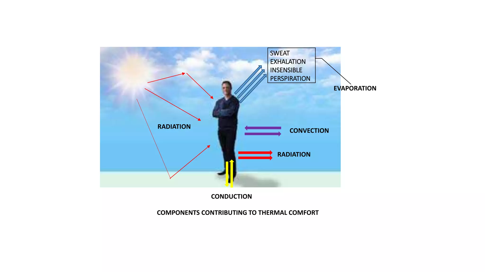 SWEAT
EXHALATION
INSENSIBLE
PERSPIRATION
EVAPORATION
CONVECTION
CONDUCTION
RADIATION
RADIATION
COMPONENTS CONTRIBUTING TO THERMAL COMFORT
 