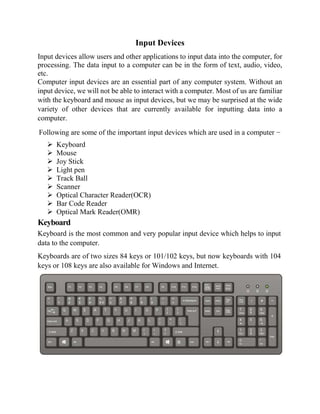 Input devices of computer | PDF