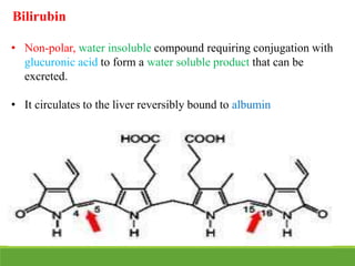 Bilirubin
• Non-polar, water insoluble compound requiring conjugation with
glucuronic acid to form a water soluble product that can be
excreted.
• It circulates to the liver reversibly bound to albumin
 