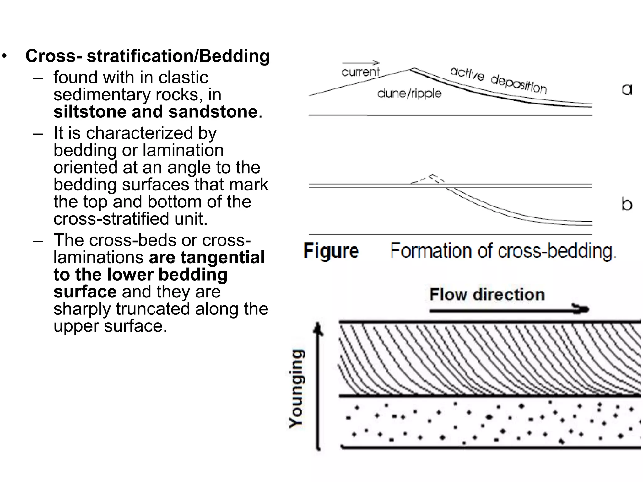 • Cross- stratification/Bedding
– found with in clastic
sedimentary rocks, in
siltstone and sandstone.
– It is characterized by
bedding or lamination
oriented at an angle to the
bedding surfaces that mark
the top and bottom of the
cross-stratified unit.
– The cross-beds or cross-
laminations are tangential
to the lower bedding
surface and they are
sharply truncated along the
upper surface.
 
