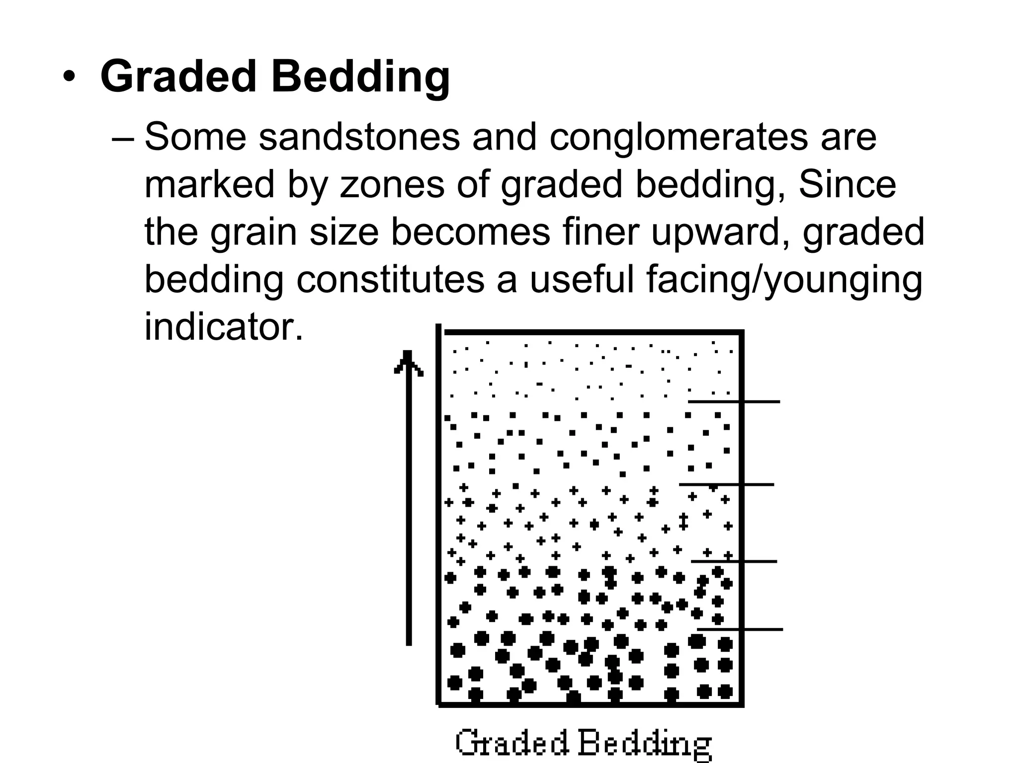 • Graded Bedding
– Some sandstones and conglomerates are
marked by zones of graded bedding, Since
the grain size becomes finer upward, graded
bedding constitutes a useful facing/younging
indicator.
 