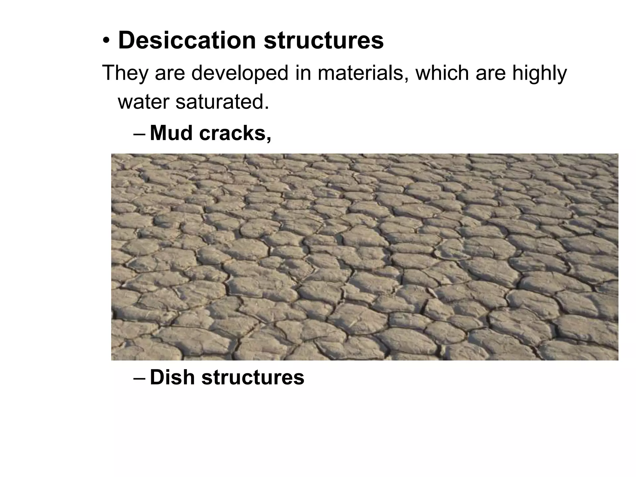 • Desiccation structures
They are developed in materials, which are highly
water saturated.
– Mud cracks,
– Dish structures
 