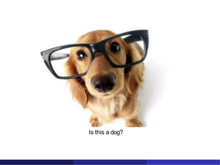 Examples of Classification
Is this a dog?
 