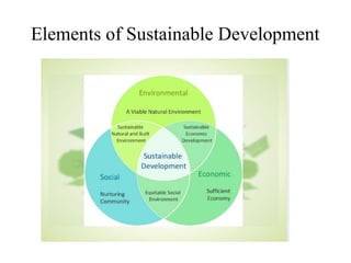 Sustainable Development & Disaster Risk Management | PPTX