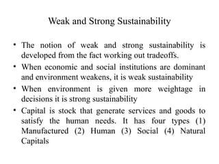 Sustainable Development & Disaster Risk Management | PPTX