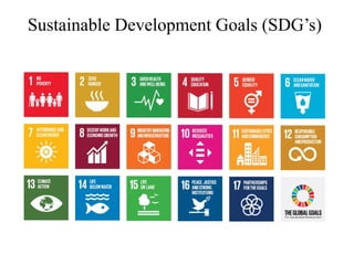 Sustainable Development & Disaster Risk Management | PPTX