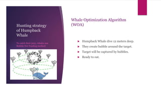 Hunting strategy
of Humpback
Whale
 Humpback Whale dive 12 meters deep.
 They create bubble around the target.
 Target will be captured by bubbles.
 Ready to eat.
To catch their prey, whales use
Bubble Net Feeding method
Whale Optimization Algorithm
(WOA)
 
