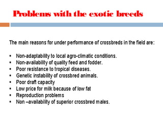 Problems with the exotic breeds
 