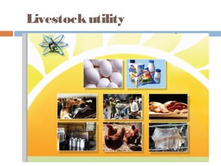 Livestockutility
 