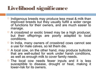 Livelihood significance
 Indigenous breeds may produce less meat & milk than
improved breeds but they usually fulfill a wider range
of functions for their owners, and are much easier to
manage.
 A crossbred or exotic breed may be a high producer,
but their offsprings are poorly adapted to local
conditions.
 In India, many owners of crossbred cows cannot see
a use for male calves, so let them die.
 A local cow, on the other hand, may produce bullocks
that are well-suited for work under harsh conditions,
as well as enough milk to cover family needs.
 The local cow needs fewer inputs and it is less
susceptible to disease, drought or heat, making it
lower-risk for its owners.
 