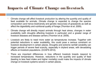 Impacts of Climate Change on livestock
 Climate change will affect livestock production by altering the quantity and quality of
feed available for animals. Climate change is expected to change the species
composition (and hence biodiversity and genetic resources) of grasslands as well as
affect the digestibility and nutritional quality of forage (Thornton et al. 2009).
 Climate change will directly impact animals through heat stress, changes in water
availability (with droughts affecting livestock in particular) and a greater range of
livestock diseases and disease carriers (Thornton et al. 2009).
 Livestock are likely to need more water as temperatures increase. Together with
potential reductions in water availability, this could pose a serious constraint on
livestock development in certain places. Droughts and extreme rainfall variability can
trigger periods of severe feed scarcity, especially in dryland areas, with devastating
effects on livestock populations. (CCAFS 2012).
 There are important differences in how different livestock breeds respond to
increased temperatures. However, reductions in the quantity and quality of feed
(leading to less feed intake and higher mortality) could make the impacts of climate
change on livestock systems severe in certain places.
 