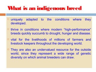 What is an indigenous breed
 uniquely adapted to the conditions where they
developed.
 thrive in conditions where modern “high-performance”
breeds quickly succumb to drought, hunger and disease.
 vital for the livelihoods of millions of farmers and
livestock keepers throughout the developing world.
 They are also an undervalued resource for the outside
world, since they represent a wide range of genetic
diversity on which animal breeders can draw.
 
