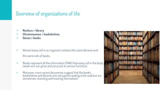 • Nucleus = library
• Chromosomes = bookshelves
• Genes = books
• Almost every cell in an organism contains the same libraries and
the same sets of books.
• Books represent all the information (DNA) that every cell in the body
needs so it can grow and carry out its various functions.
• Moreover, more recent discoveries suggest that the books,
bookshelves and libraries are not passive waiting to be read but are,
sometimes, rewriting and rewiring themselves!
Overview of organizations of life
 