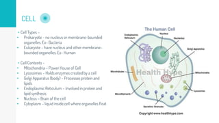CELL
▹Cell Types –
• Prokaryote – no nucleus or membrane-bounded
organelles. Ex- Bacteria
• Eukaryote – have nucleus and other membrane-
bounded organelles. Ex- Human
▹Cell Contents -
• Mitochondria – Power House of Cell
• Lysosomes – Holds enzymes created by a cell
• Golgi Apparatus (body) – Processes protein and
lipids
• Endoplasmic Reticulum – Involved in protein and
lipid synthesis
• Nucleus – Brain of the cell
• Cytoplasm – liquid inside cell where organelles float
 