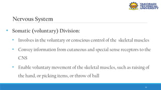 14
Nervous System
• Somatic (voluntary) Division:
• Involves in the voluntary or conscious control of the skeletal muscles
• Convey information from cutaneous and special sense receptors to the
CNS
• Enable voluntary movement of the skeletal muscles, such as raising of
the hand, or picking items, or throw of ball
 