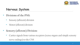 9
Nervous System
• Divisions of the PNS:
• Sensory (afferent) division
• Motor (efferent) division
• Sensory (afferent) Division:
• Carries signals from various receptors (sense organs and simple sensory
nerve endings) to the CNS
 