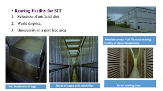 Fly Colony Rearing Racks Lecture-10.pdf