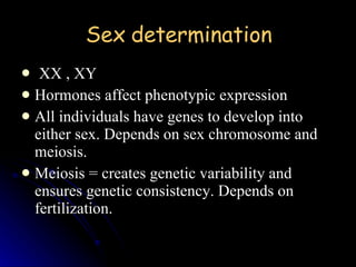 Sex determination XX , XY Hormones affect phenotypic expression All individuals have genes to develop into either sex. Depends on sex chromosome and meiosis. Meiosis = creates genetic variability and ensures genetic consistency. Depends on fertilization. 