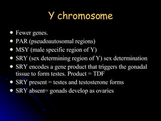 Y chromosome Fewer genes. PAR (pseudoautosomal regions) MSY (male specific region of Y) SRY (sex determining region of Y) sex determination SRY encodes a gene product that triggers the gonadal tissue to form testes. Product = TDF SRY present = testes and testosterone forms SRY absent= gonads develop as ovaries 