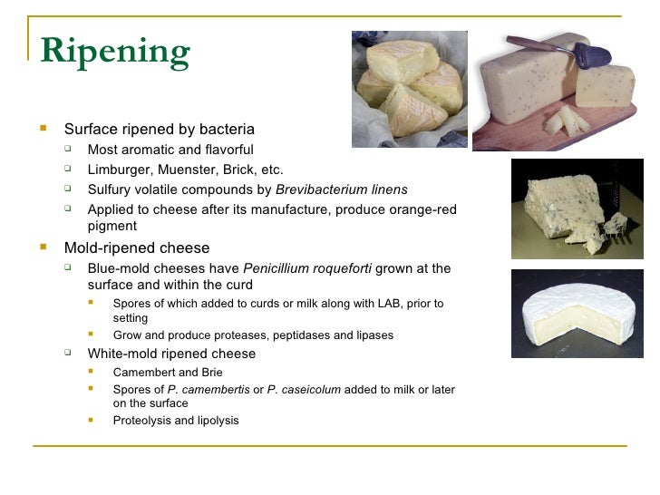 Cheese Ripening fruits-ppt-download