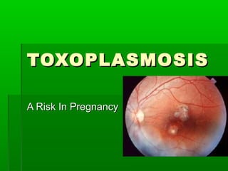 TOXOPLASMOSISTOXOPLASMOSIS
A Risk In PregnancyA Risk In Pregnancy
 
