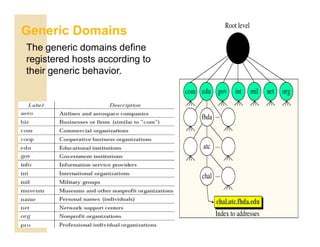 Generic Behavior Introduction to Application layer and Domain Name Space | PDF