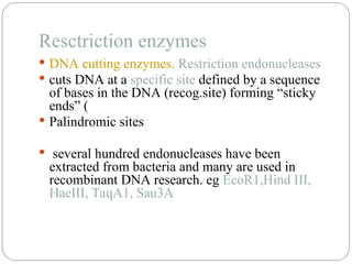 Resctriction enzymes
 DNA cutting enzymes. Restriction endonucleases
 cuts DNA at a specific site defined by a sequence
of bases in the DNA (recog.site) forming “sticky
ends” (
 Palindromic sites
 several hundred endonucleases have been
extracted from bacteria and many are used in
recombinant DNA research. eg EcoR1,Hind III,
HaeIII, TaqA1, Sau3A
 