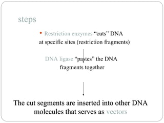 steps
 Restriction enzymes “cuts” DNA
at specific sites (restriction fragments)
DNA ligase “pastes” the DNA
fragments together
The cut segments are inserted into other DNA
The cut segments are inserted into other DNA
molecules that serves as
molecules that serves as vectors
 