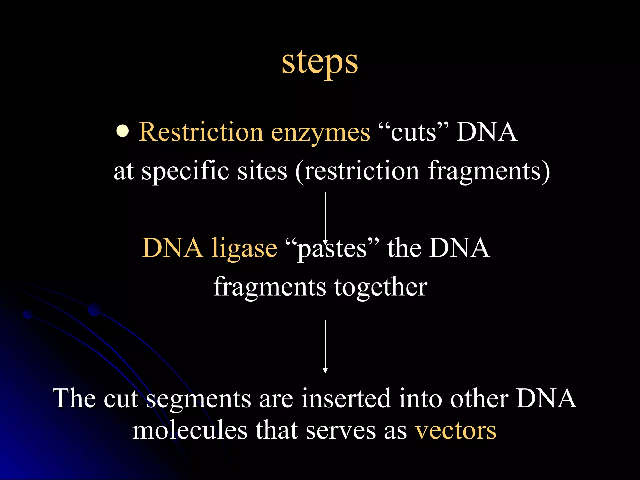 steps Restriction enzymes  “cuts” DNA  at specific sites (restriction fragments) DNA ligase  “pastes” the DNA  fragments together The cut segments are inserted into other DNA molecules that serves as  vectors 