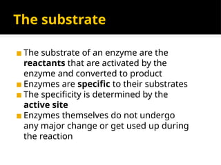 Enzyme basic information and working of enzyme | PPT