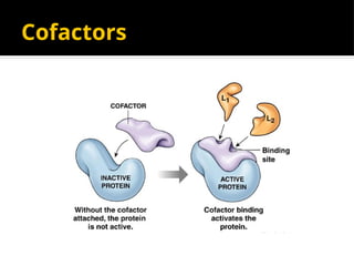 Cofactors
 