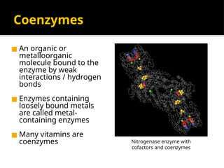 Coenzymes
◼ An organic or
metalloorganic
molecule bound to the
enzyme by weak
interactions / hydrogen
bonds
◼ Enzymes containing
loosely bound metals
are called metal-
containing enzymes
◼ Many vitamins are
coenzymes Nitrogenase enzyme with
cofactors and coenzymes
 