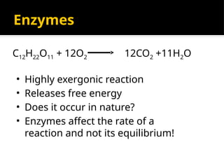 Enzymes
C12H22O11 + 12O2 12CO2 +11H2O
• Highly exergonic reaction
• Releases free energy
• Does it occur in nature?
• Enzymes affect the rate of a
reaction and not its equilibrium!
 