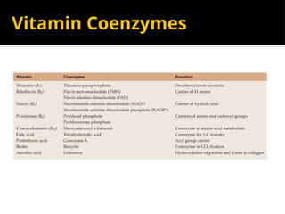 Vitamin Coenzymes
 