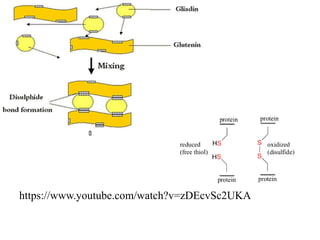 Bakery science and Confectionery Technology | PPTX
