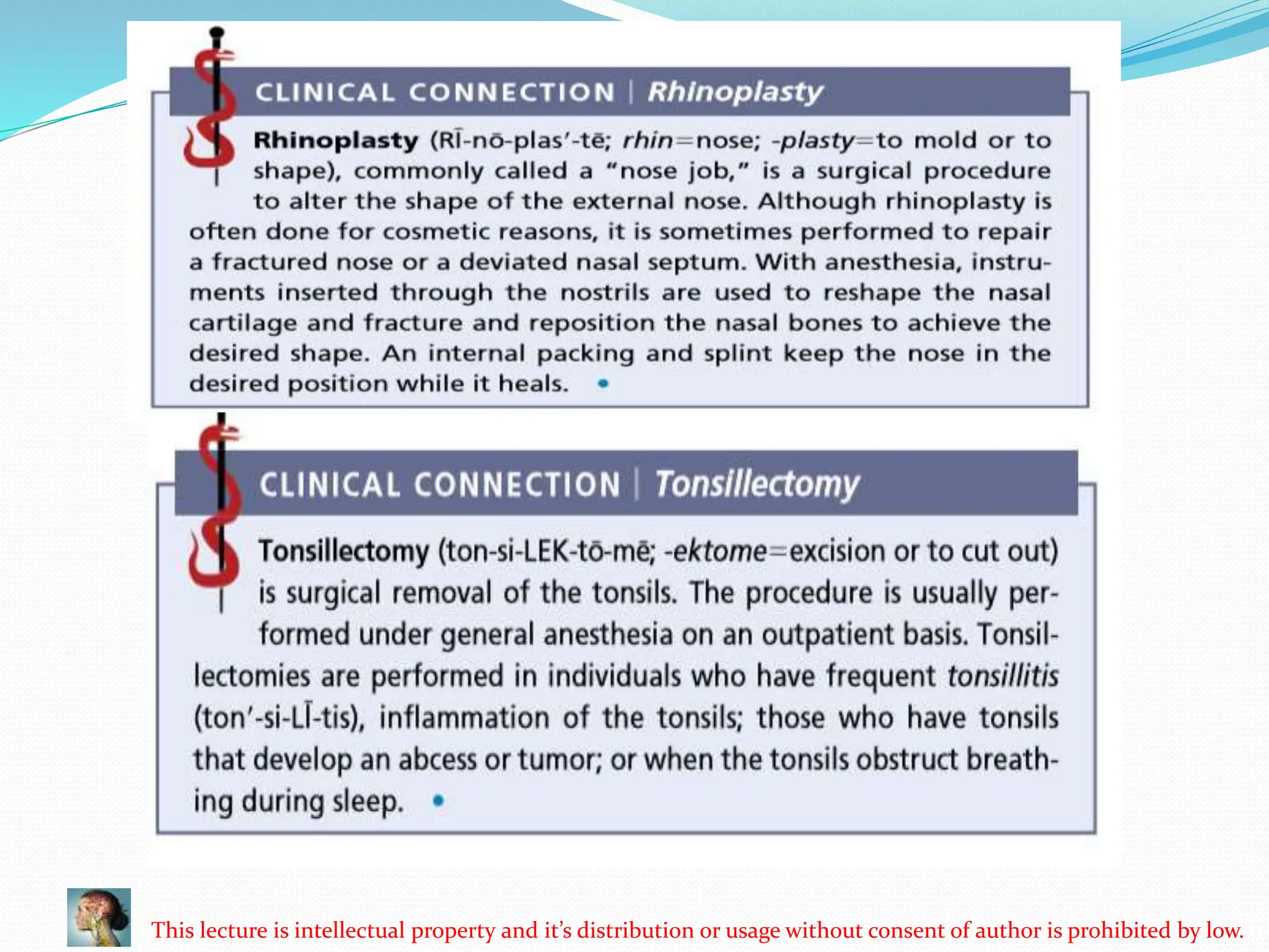 Respiratory system visual data 5