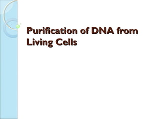 Purification of DNA fromPurification of DNA from
Living CellsLiving Cells
 
