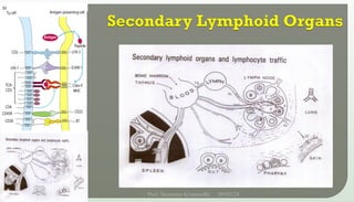 09/02/24
Prof. Sreerama Krupanidhi
10
 